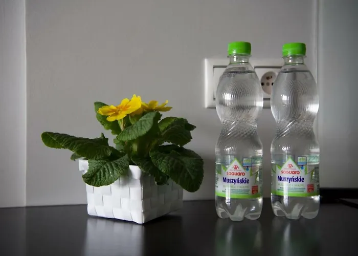 Διαμέρισμα Open *